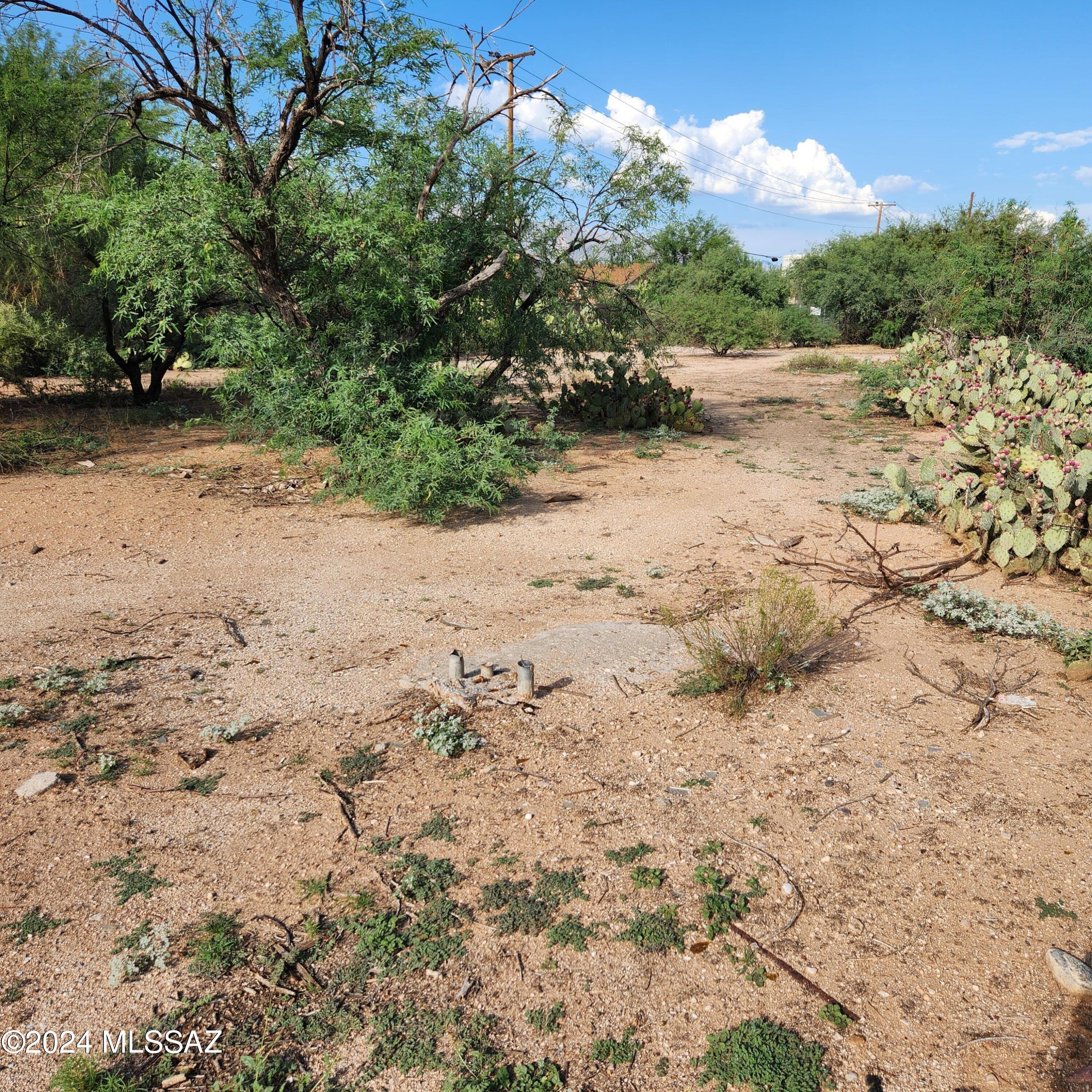 Photo 4 of 12 of 1762 W Ruthrauff Road land