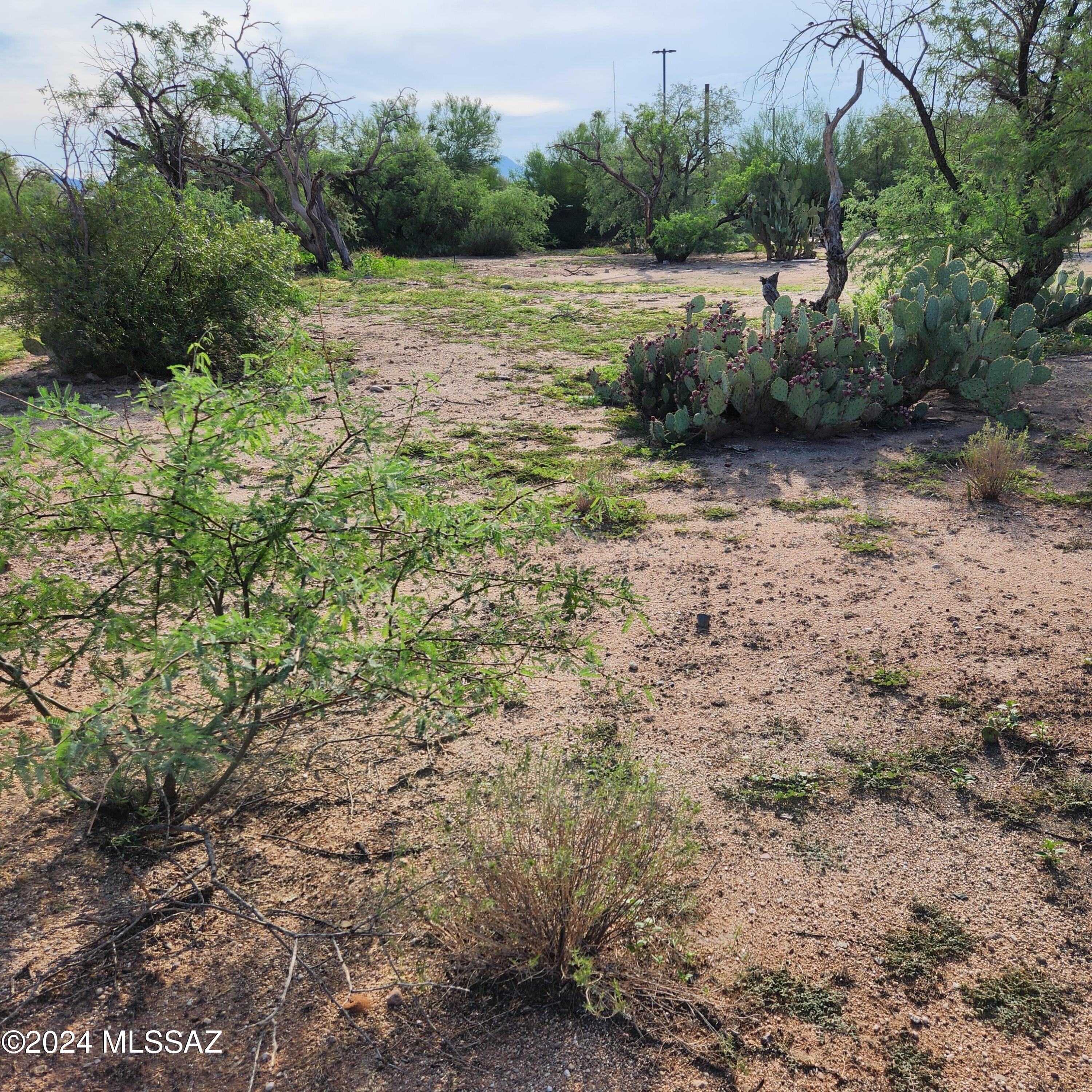 Photo 6 of 12 of 1762 W Ruthrauff Road land