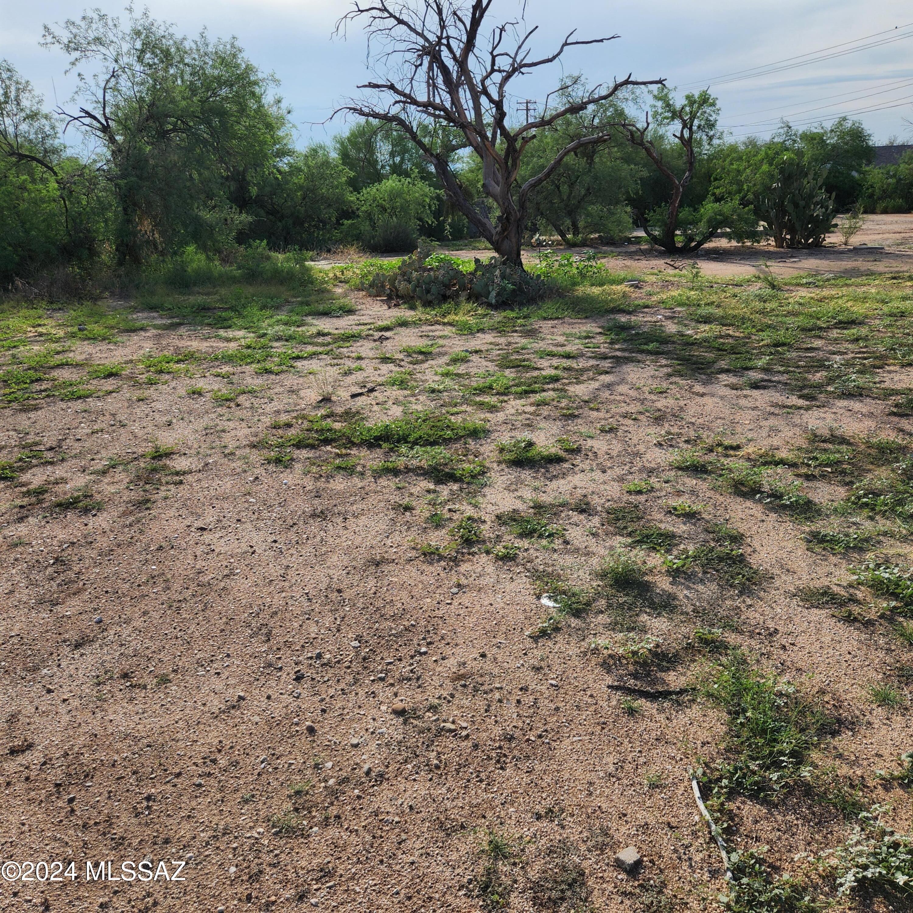 Photo 7 of 12 of 1762 W Ruthrauff Road land