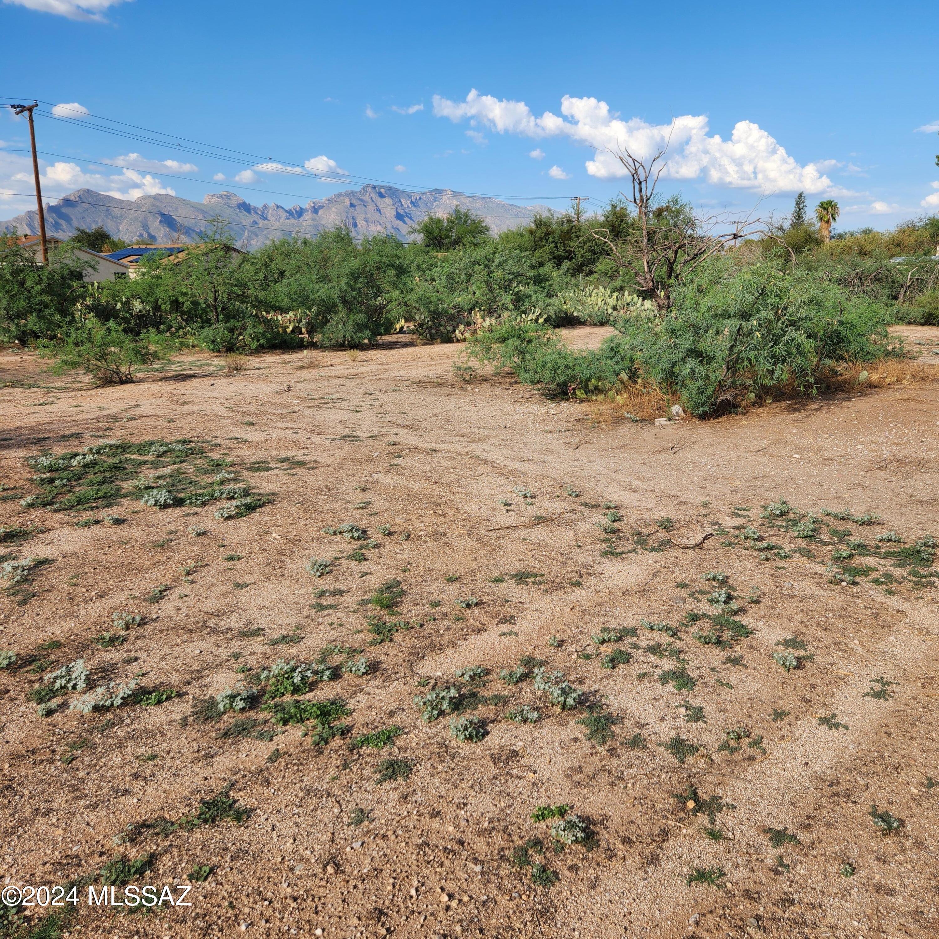 Photo 8 of 12 of 1762 W Ruthrauff Road land