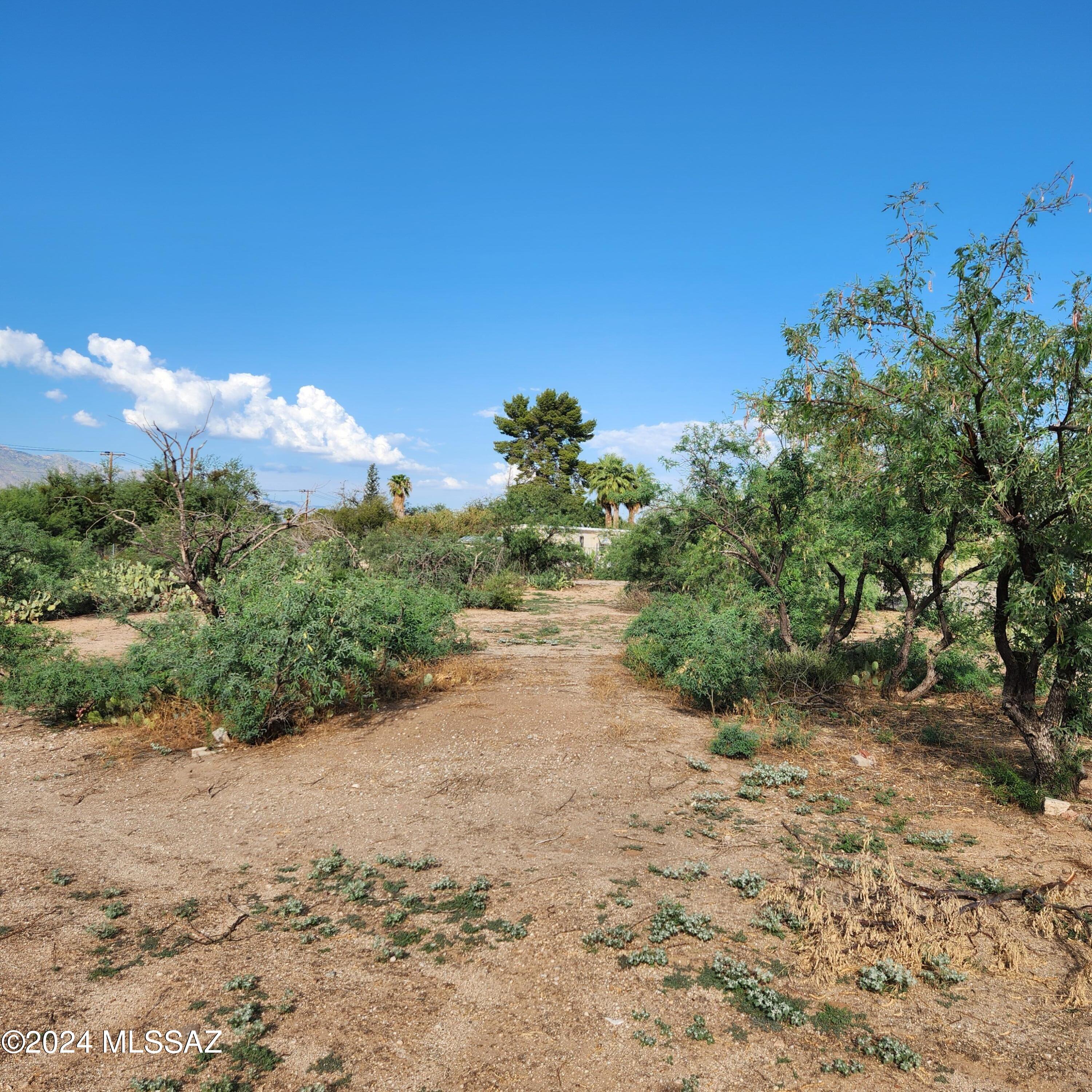 Photo 9 of 12 of 1762 W Ruthrauff Road land