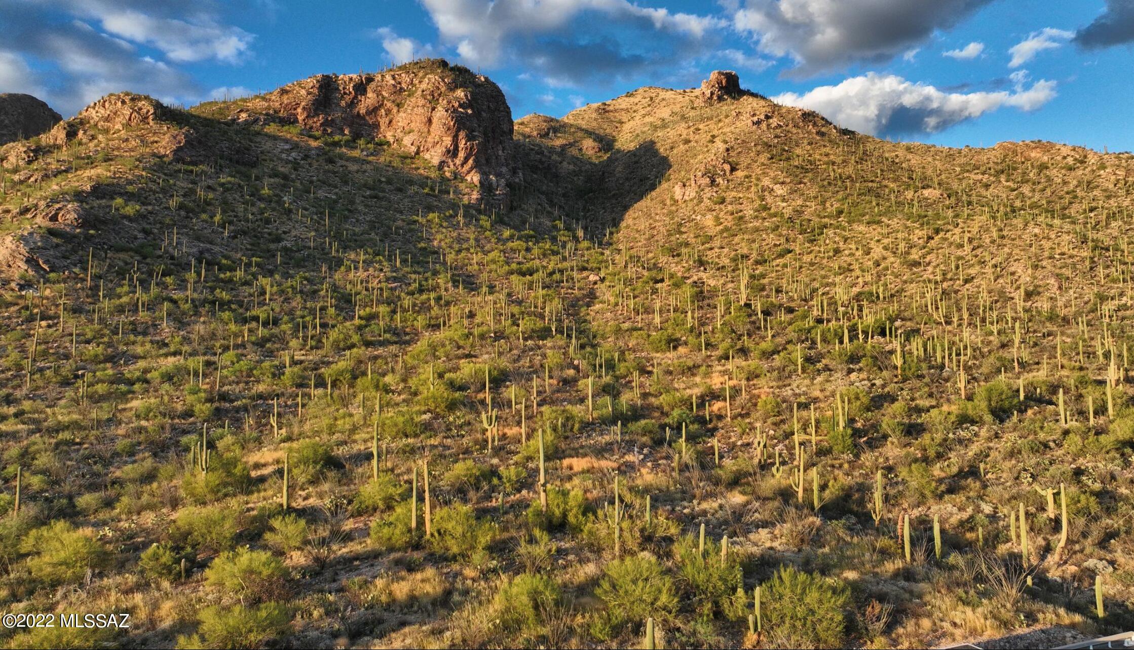 Photo 8 of 11 of 1779 E Barrell Cactus Court house