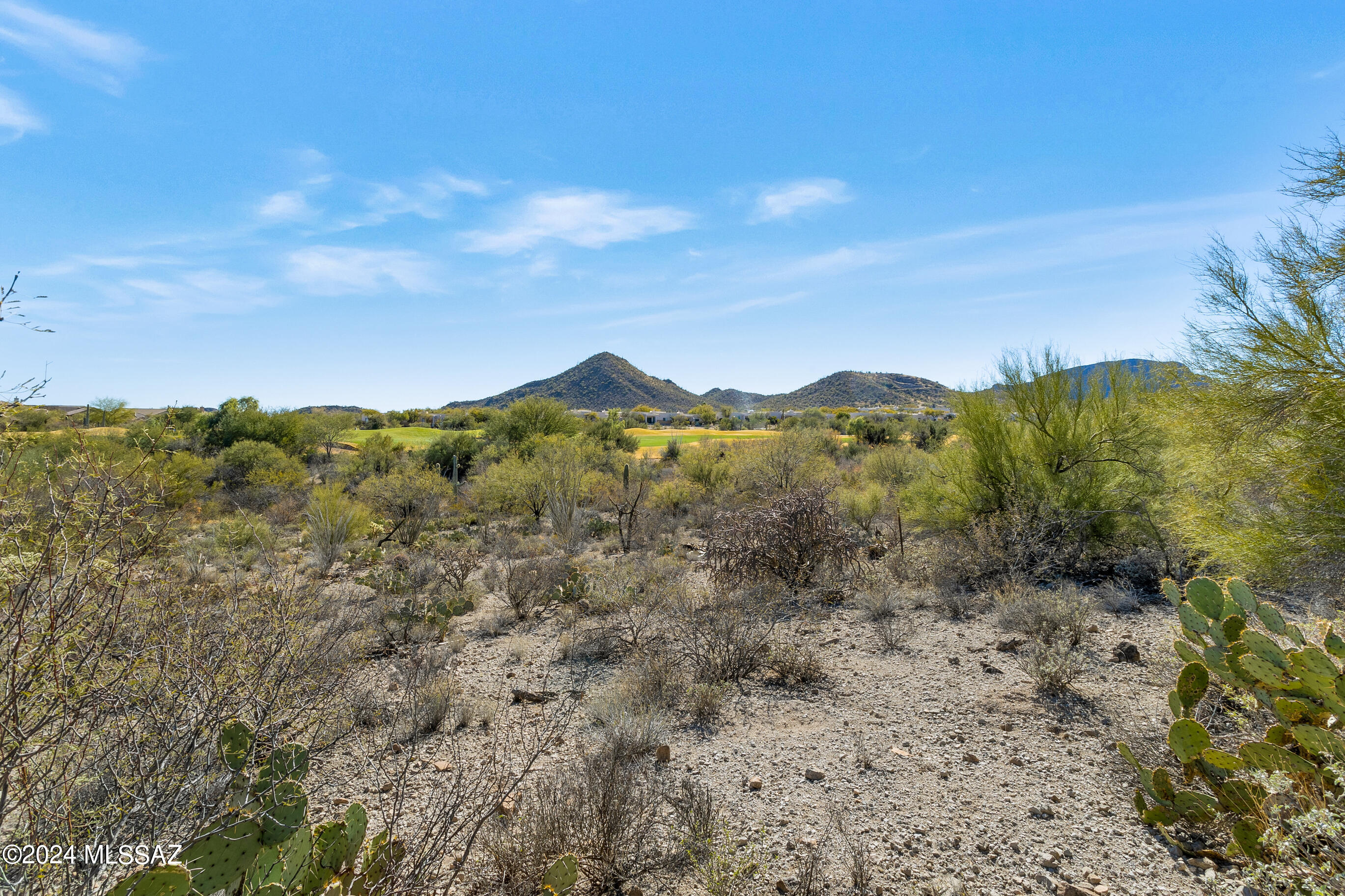 Photo 8 of 15 of 3721 W Tohono Crossing Place 19 land