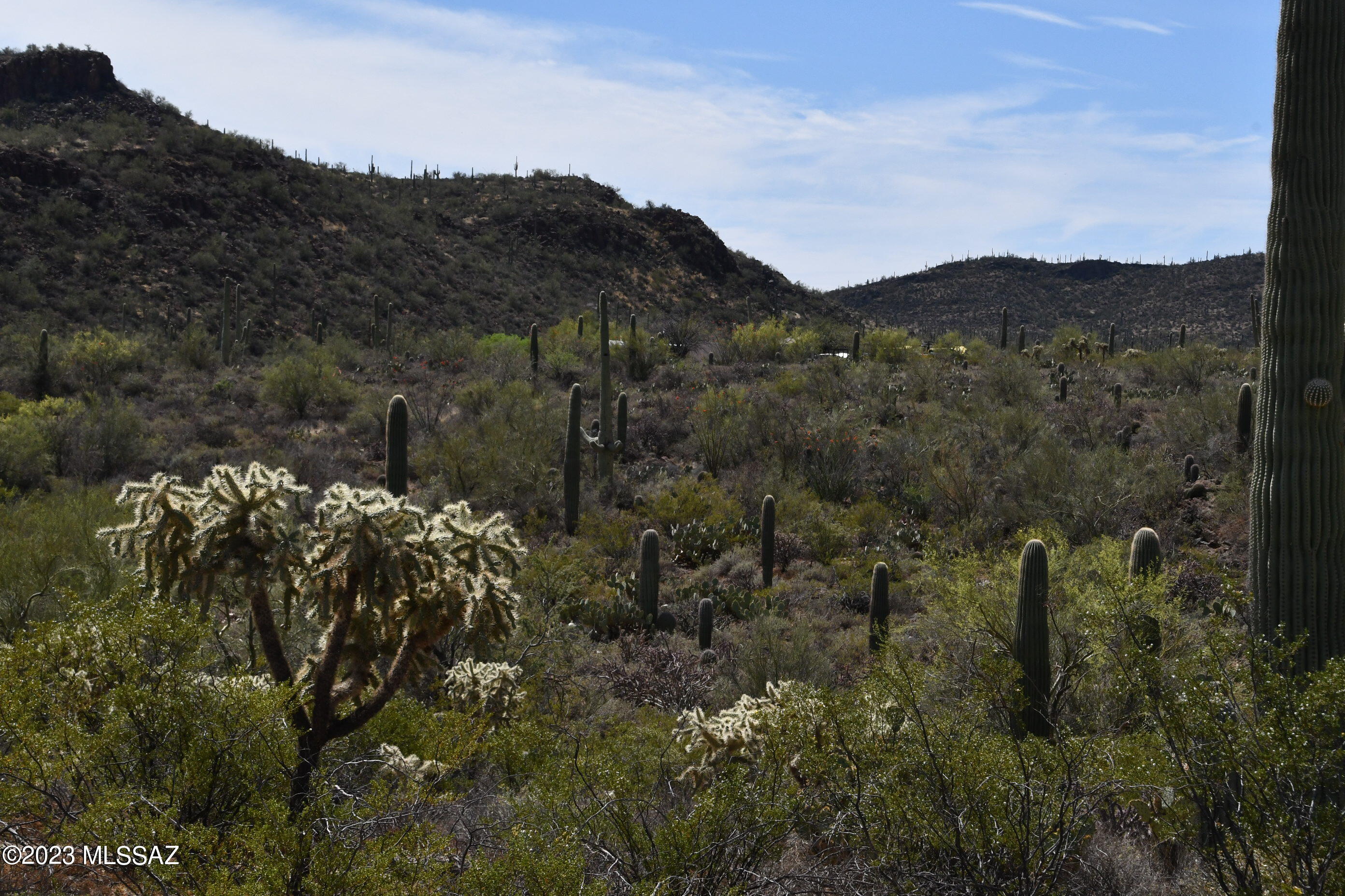 Photo 3 of 42 of Yuma Mine Road land