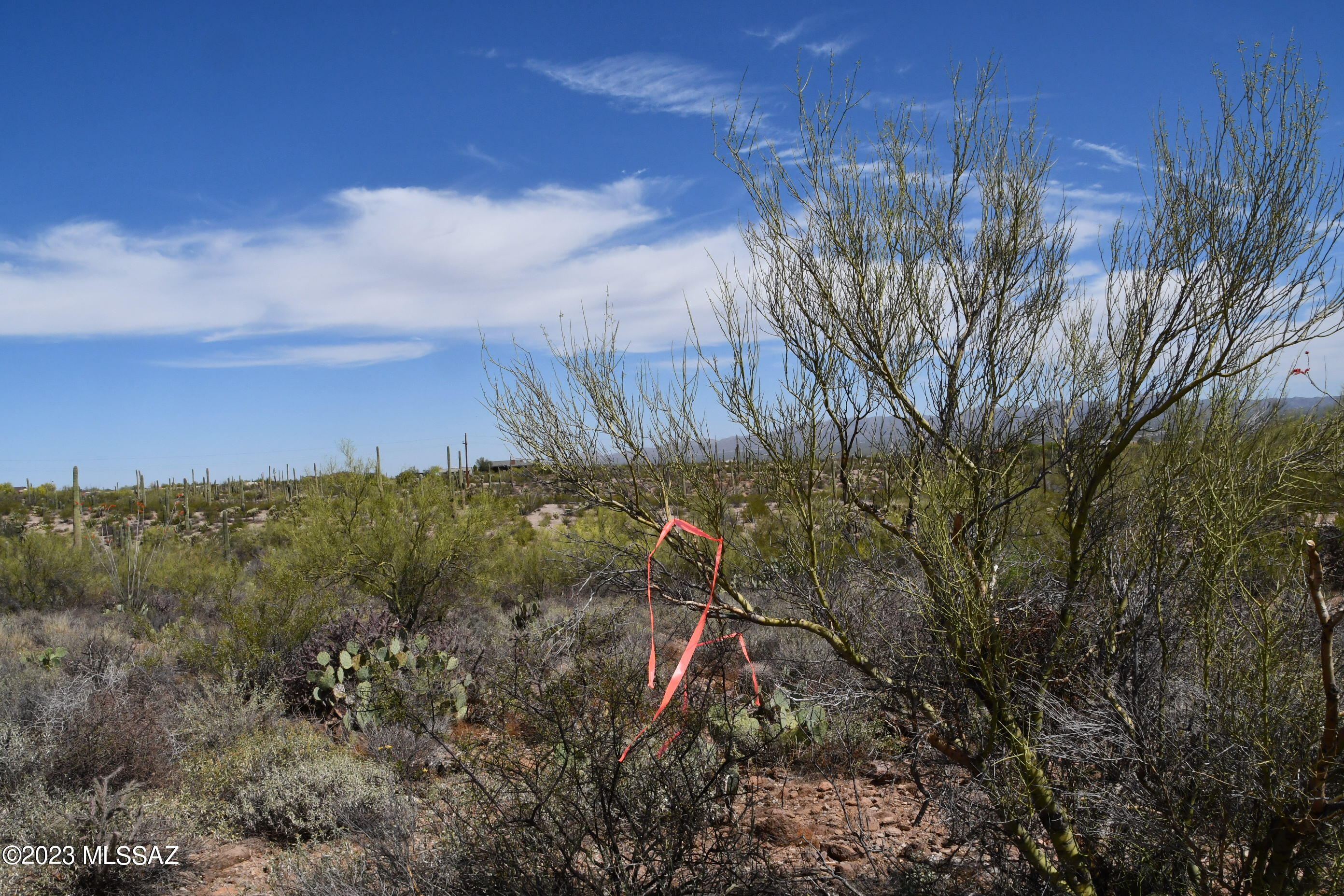 Photo 33 of 42 of Yuma Mine Road land