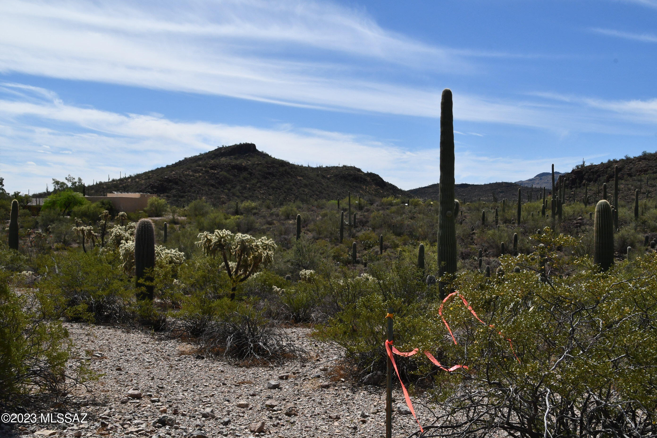 Photo 39 of 42 of Yuma Mine Road land