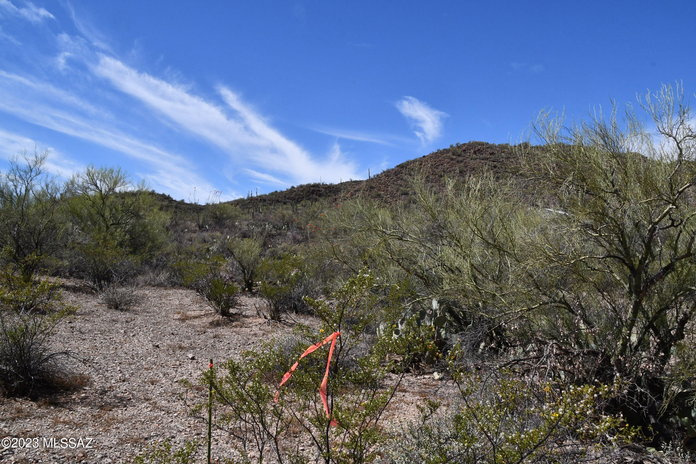 Photo 40 of 42 of Yuma Mine Road land