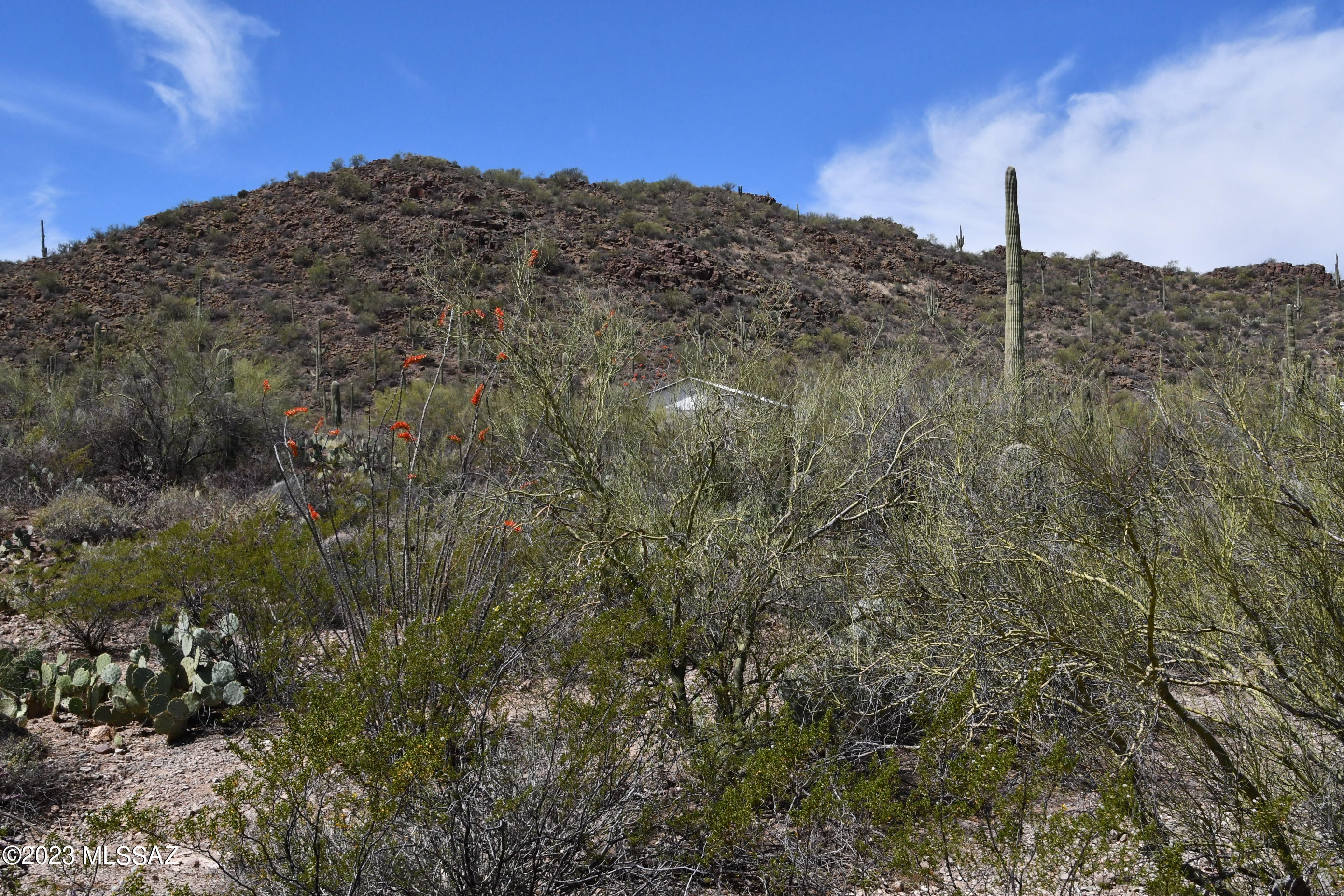 Photo 41 of 42 of Yuma Mine Road land