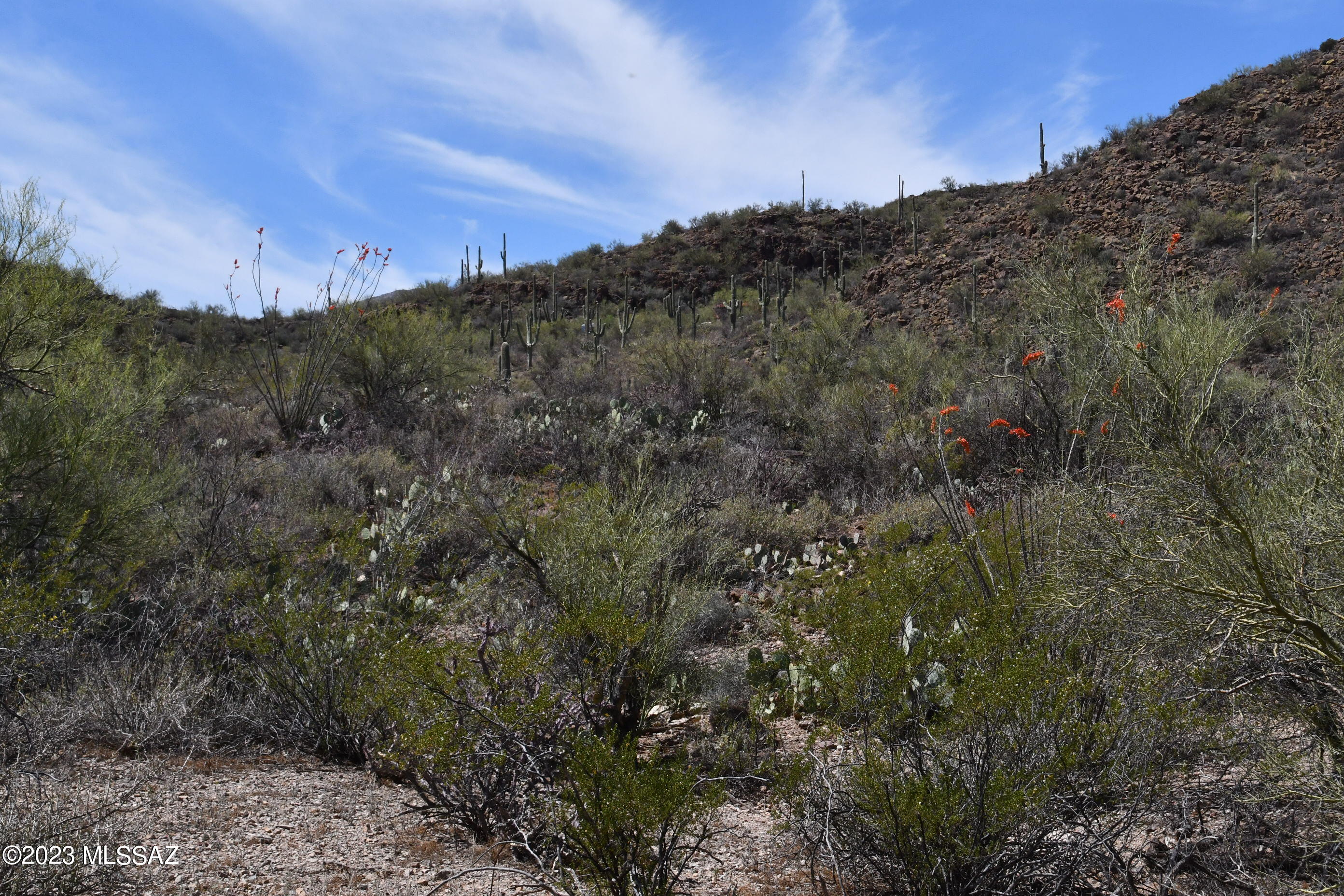 Photo 5 of 42 of Yuma Mine Road land