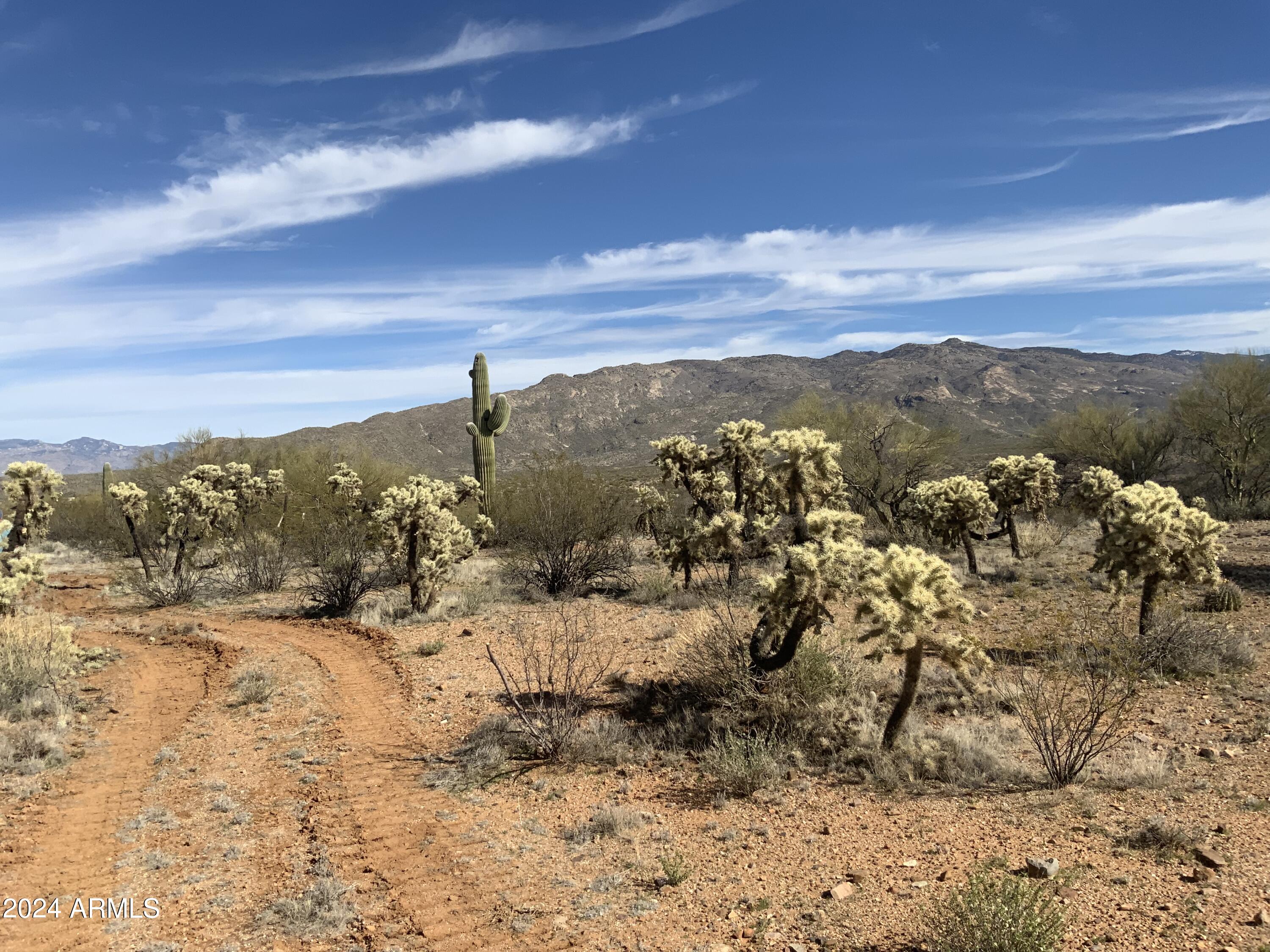 Photo 1 of 32 of 12300 E OLD SPANISH Trail - land