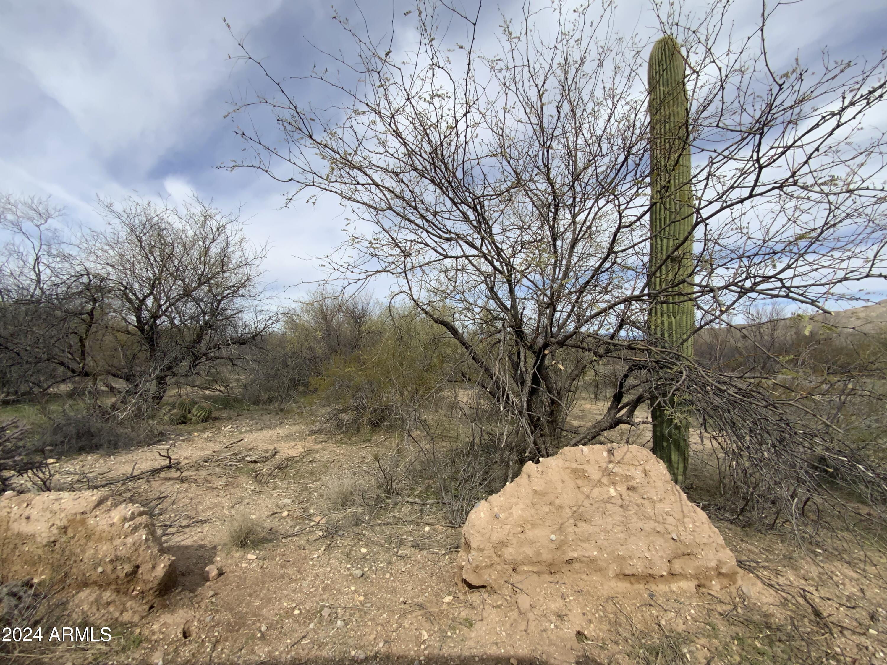 Photo 32 of 32 of 12300 E OLD SPANISH Trail - land