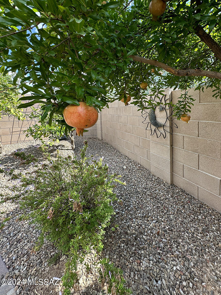 Photo 46 of 50 of 9886 N Niobrara Way house