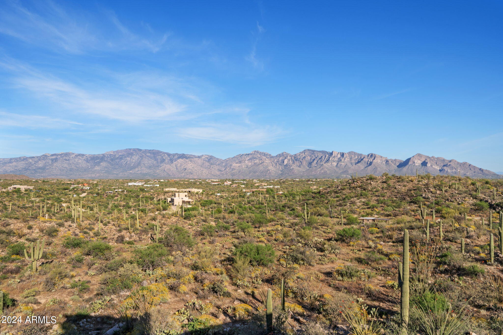 Photo 73 of 101 of 14198 N Gecko Canyon Trail house