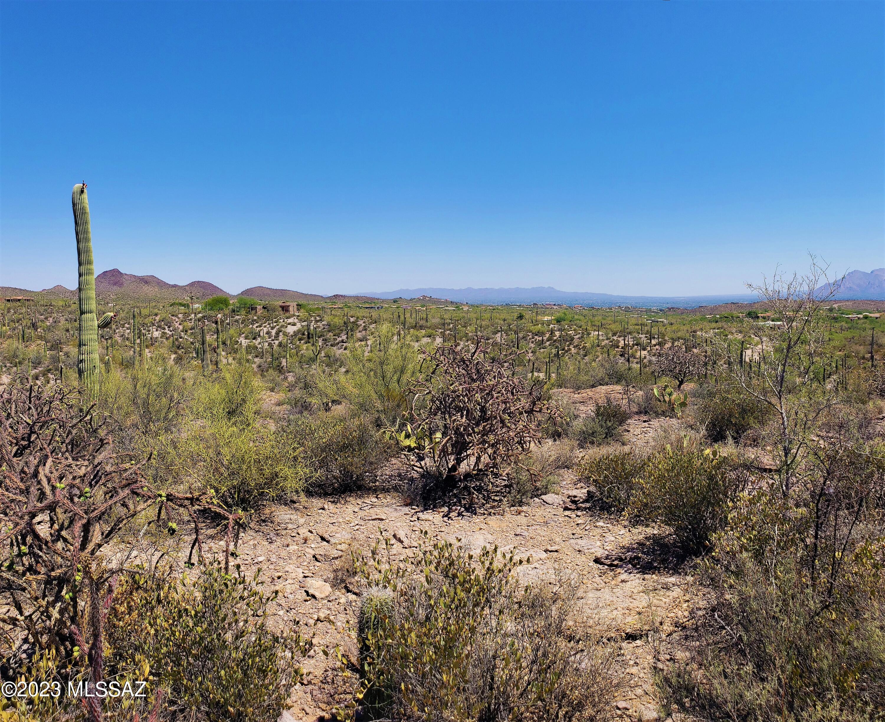 Photo 18 of 24 of 700blk N Camino De Oeste Road B & C land