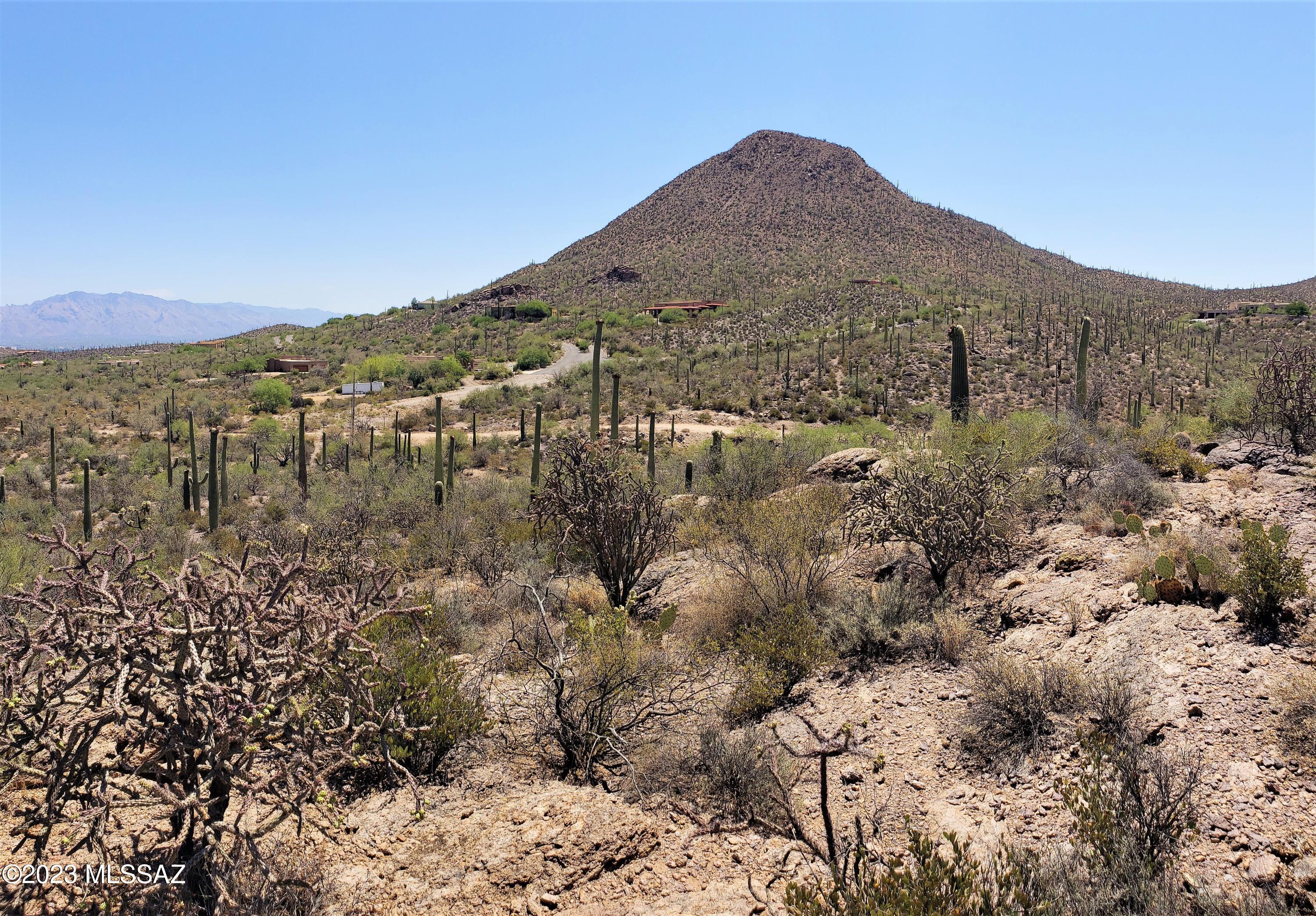 Photo 22 of 24 of 700blk N Camino De Oeste Road B & C land