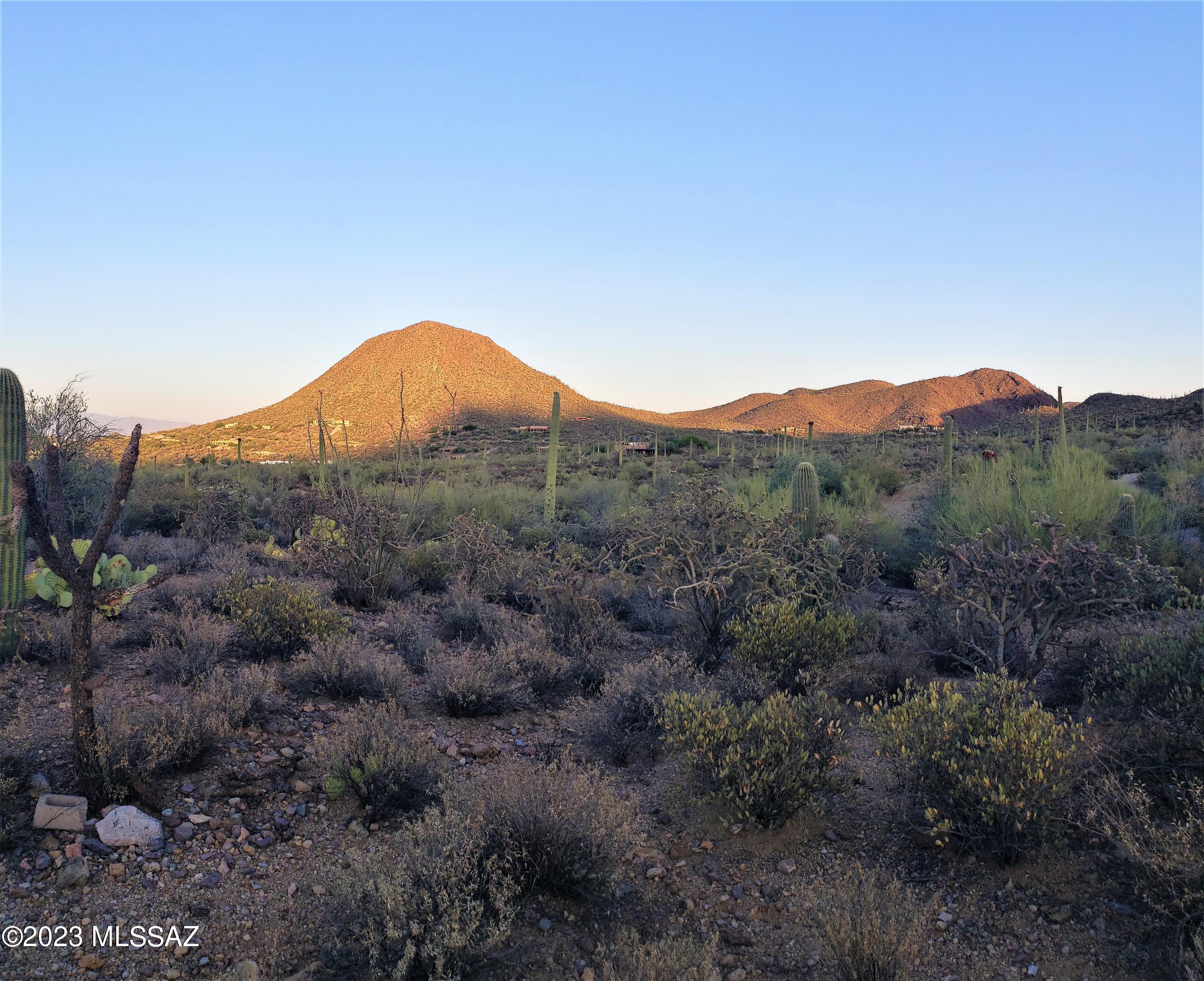 Photo 6 of 24 of 700blk N Camino De Oeste Road B & C land