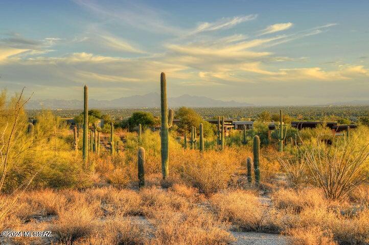 Photo 13 of 24 of 5170 N Camino Antonio 4 land