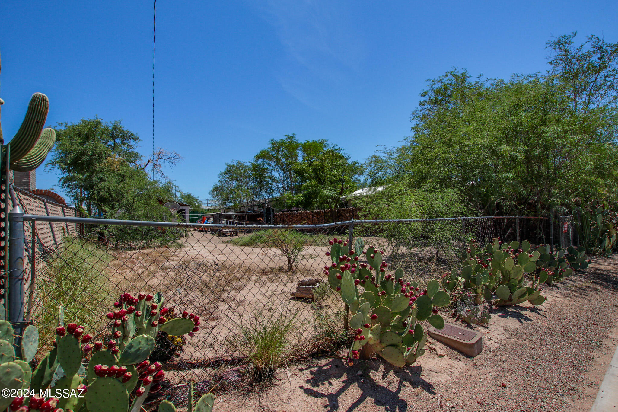 Photo 5 of 10 of 1138 N 13th Avenue 6 land