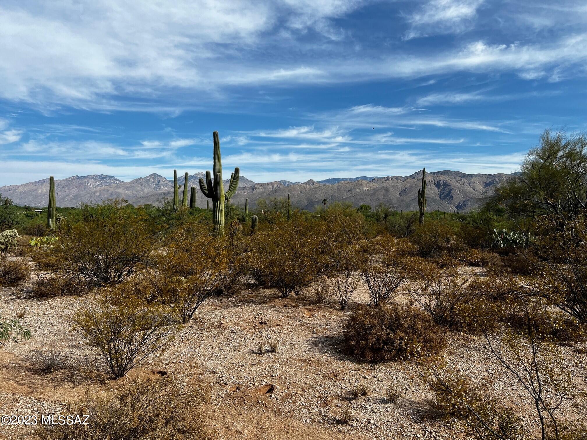 Photo 4 of 5 of 2959 N Soldier Trail N/A land