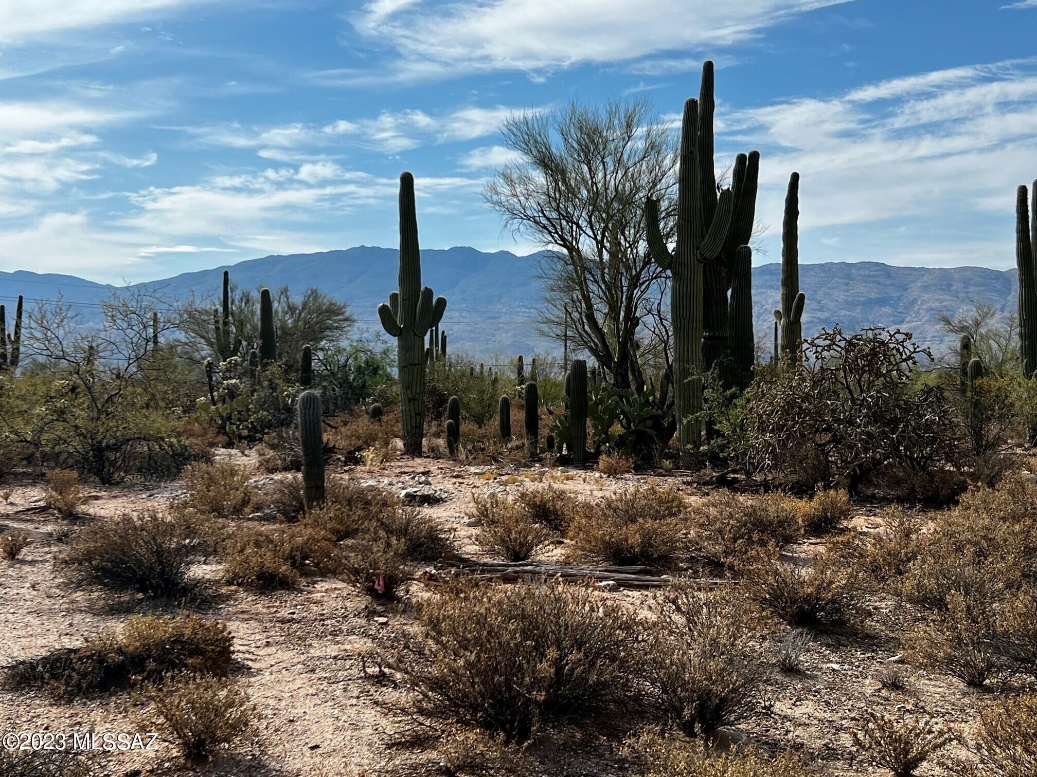 Photo 5 of 5 of 2959 N Soldier Trail N/A land