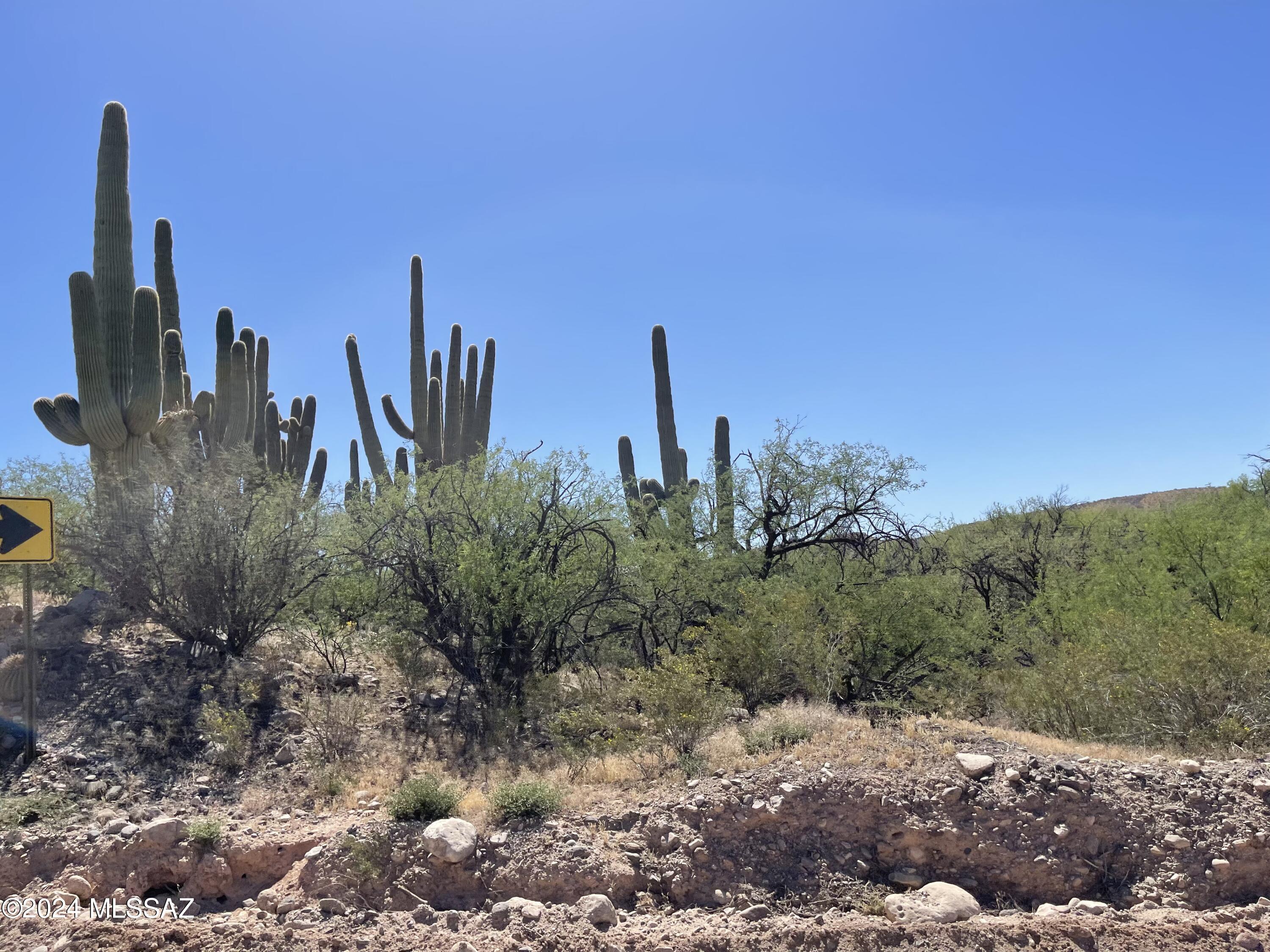 Photo 1 of 7 of 9551 N La Cholla Boulevard n/a land