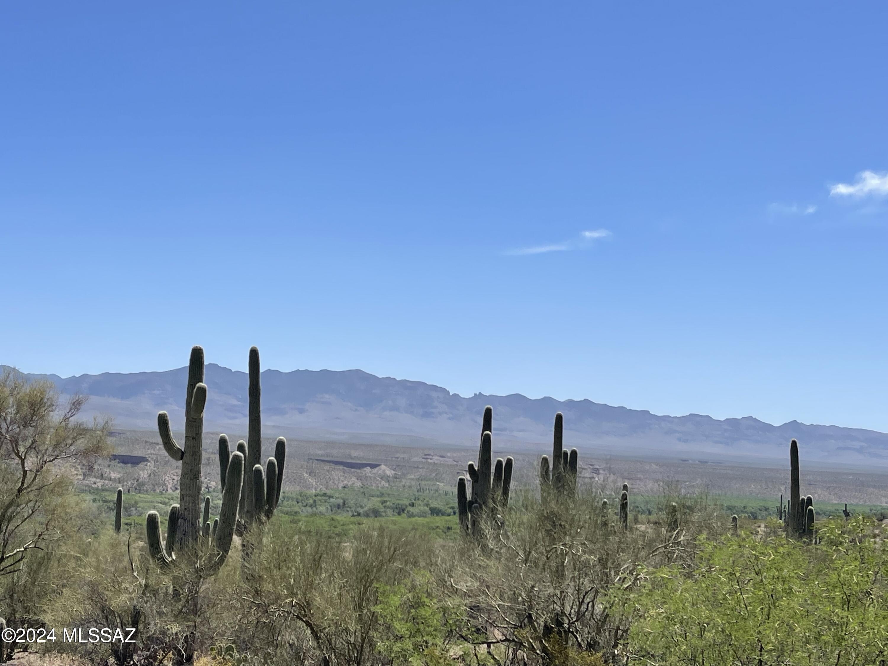 Photo 2 of 7 of 9551 N La Cholla Boulevard n/a land