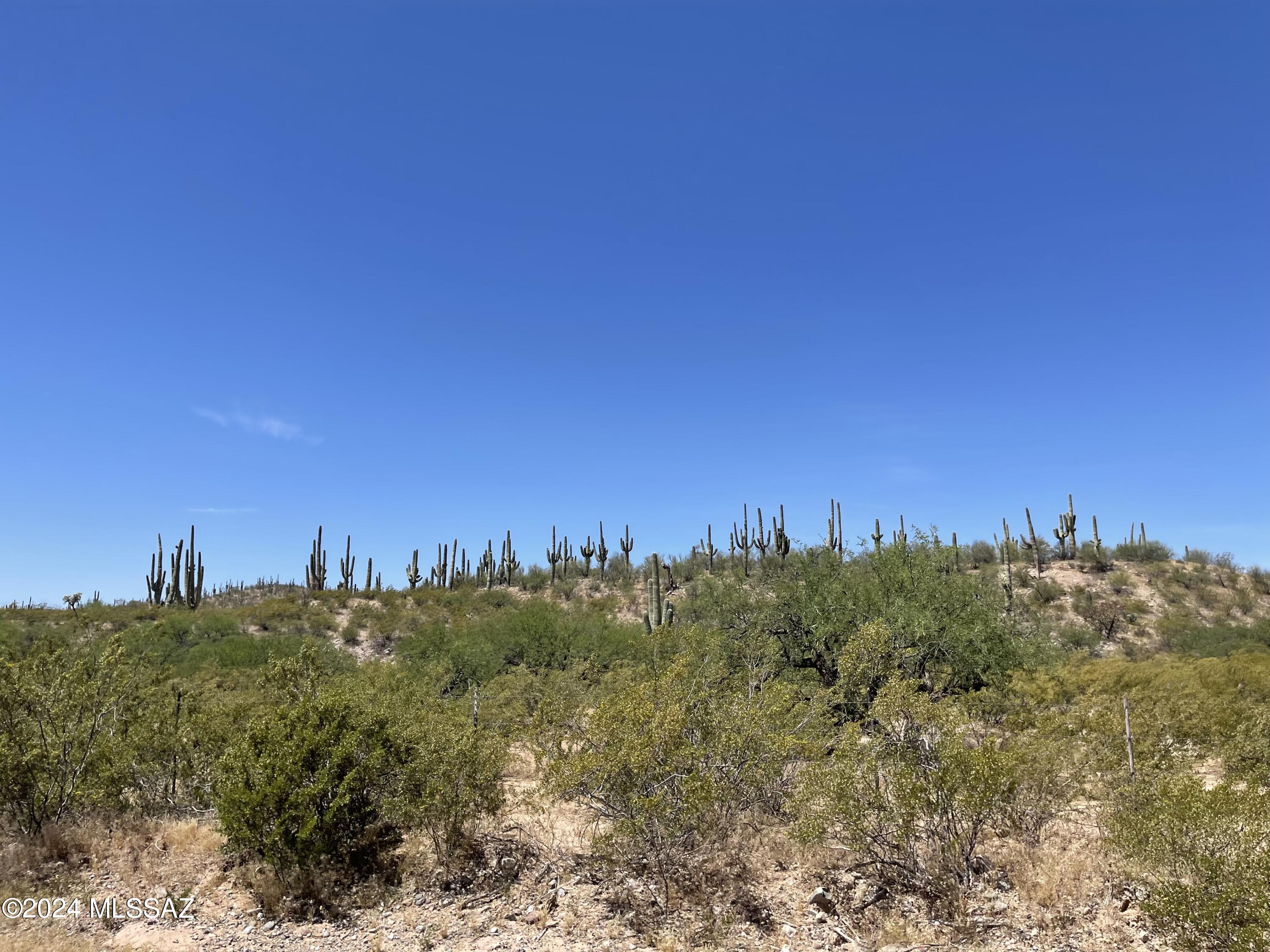 Photo 3 of 7 of 9551 N La Cholla Boulevard n/a land