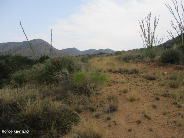 Photo 13 of 16 of 18655 S Sierrita Mountain Road land