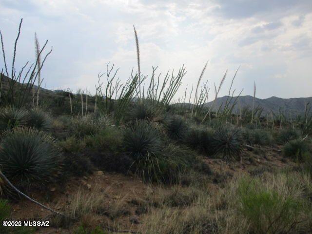 Photo 15 of 16 of 18655 S Sierrita Mountain Road land