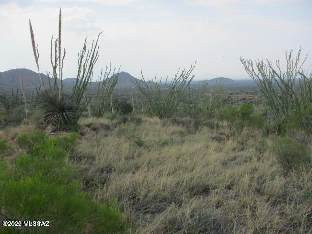 Photo 7 of 16 of 18655 S Sierrita Mountain Road land