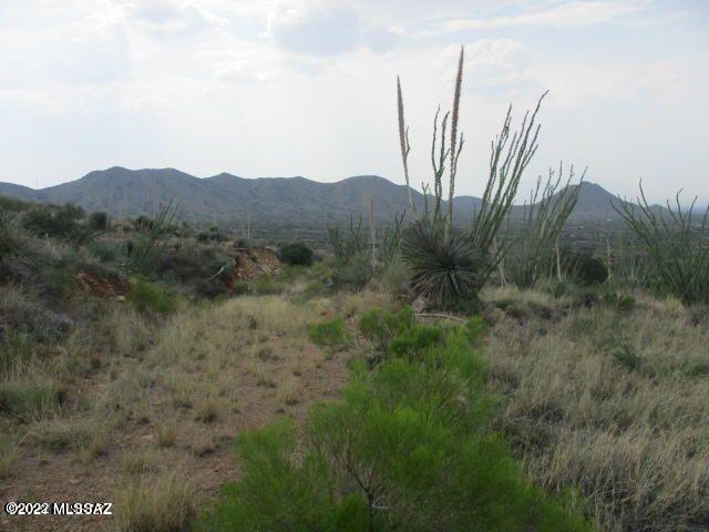 Photo 8 of 16 of 18655 S Sierrita Mountain Road land