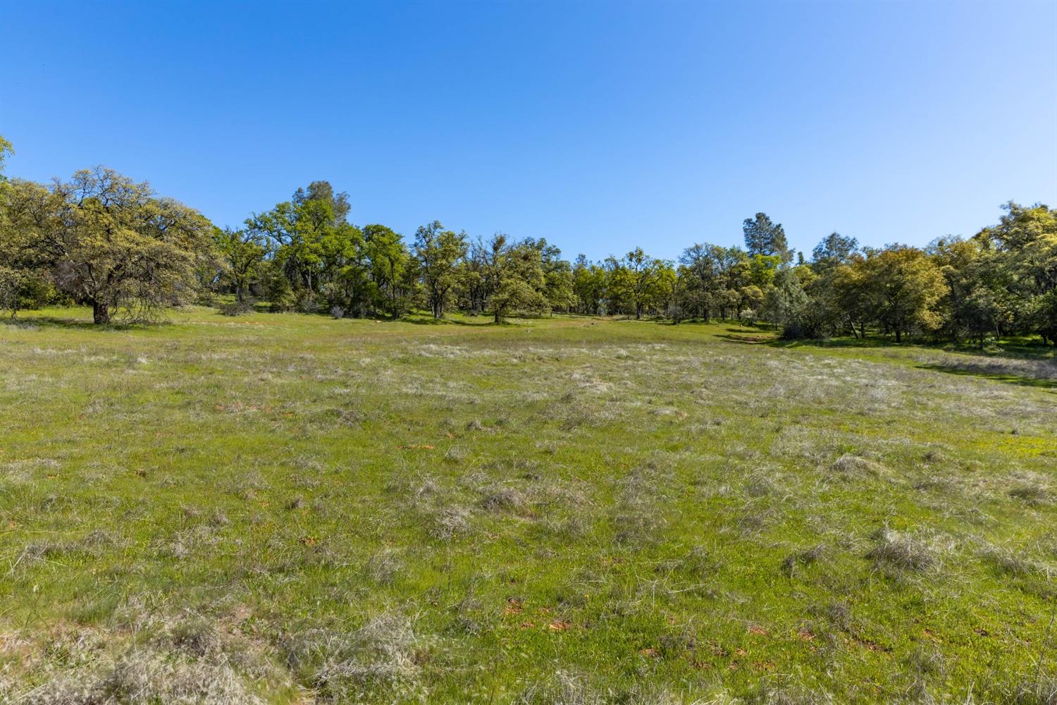 Photo 4 of 59 of 800 Brown Gables Road land