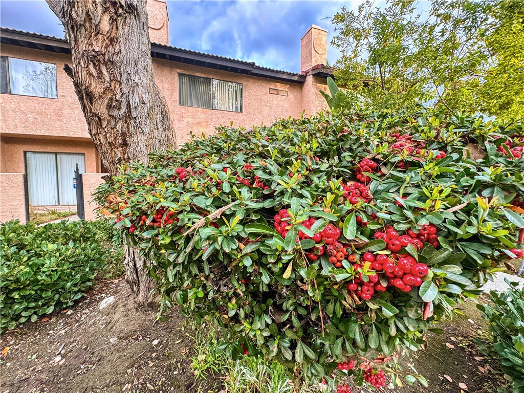 Photo 42 of 45 of 13706 Ramona Parkway townhome