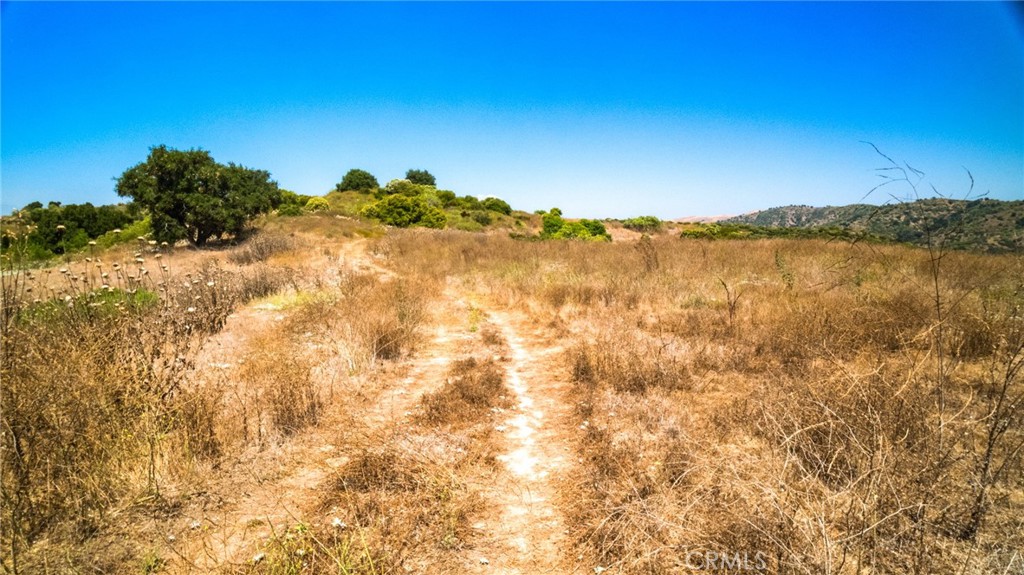 Photo 7 of 13 of 7099 E Carbon Canyon Rd land