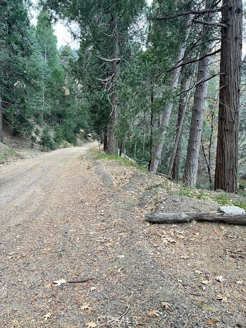 Photo 2 of 6 of 0 Mojave River Road land