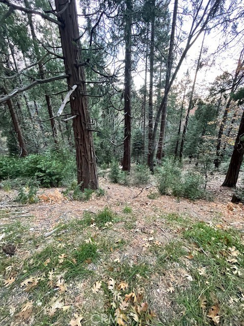 Photo 4 of 6 of 0 Mojave River Road land