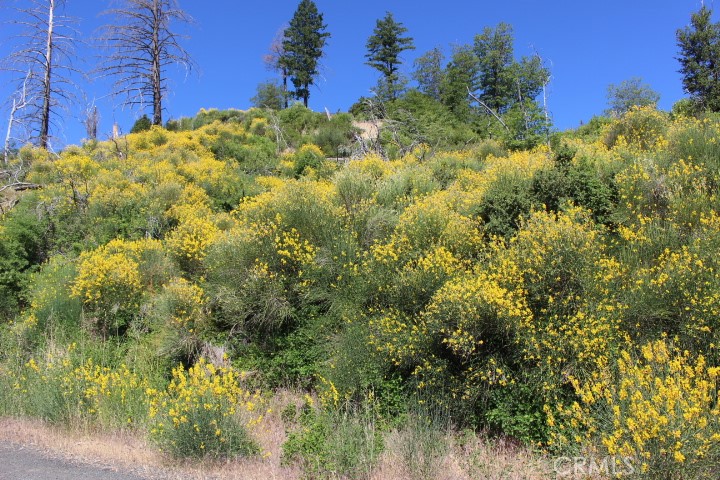 Photo 5 of 10 of 13635 Adams Springs Drive land