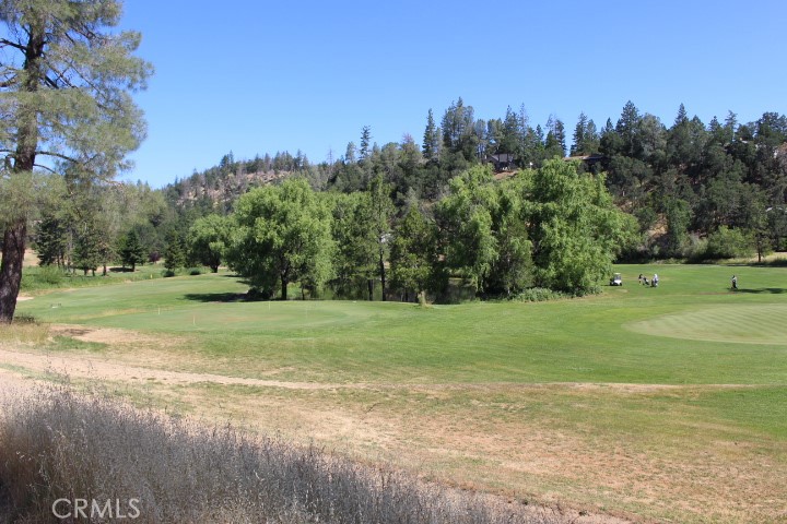 Photo 6 of 10 of 13635 Adams Springs Drive land