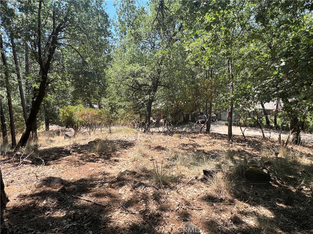 Photo 4 of 8 of 16330 Manzanita Court land