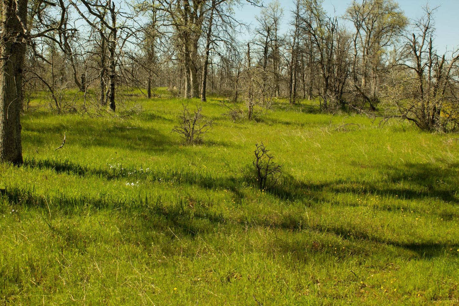 Photo 4 of 7 of 5743 Schilling Road land