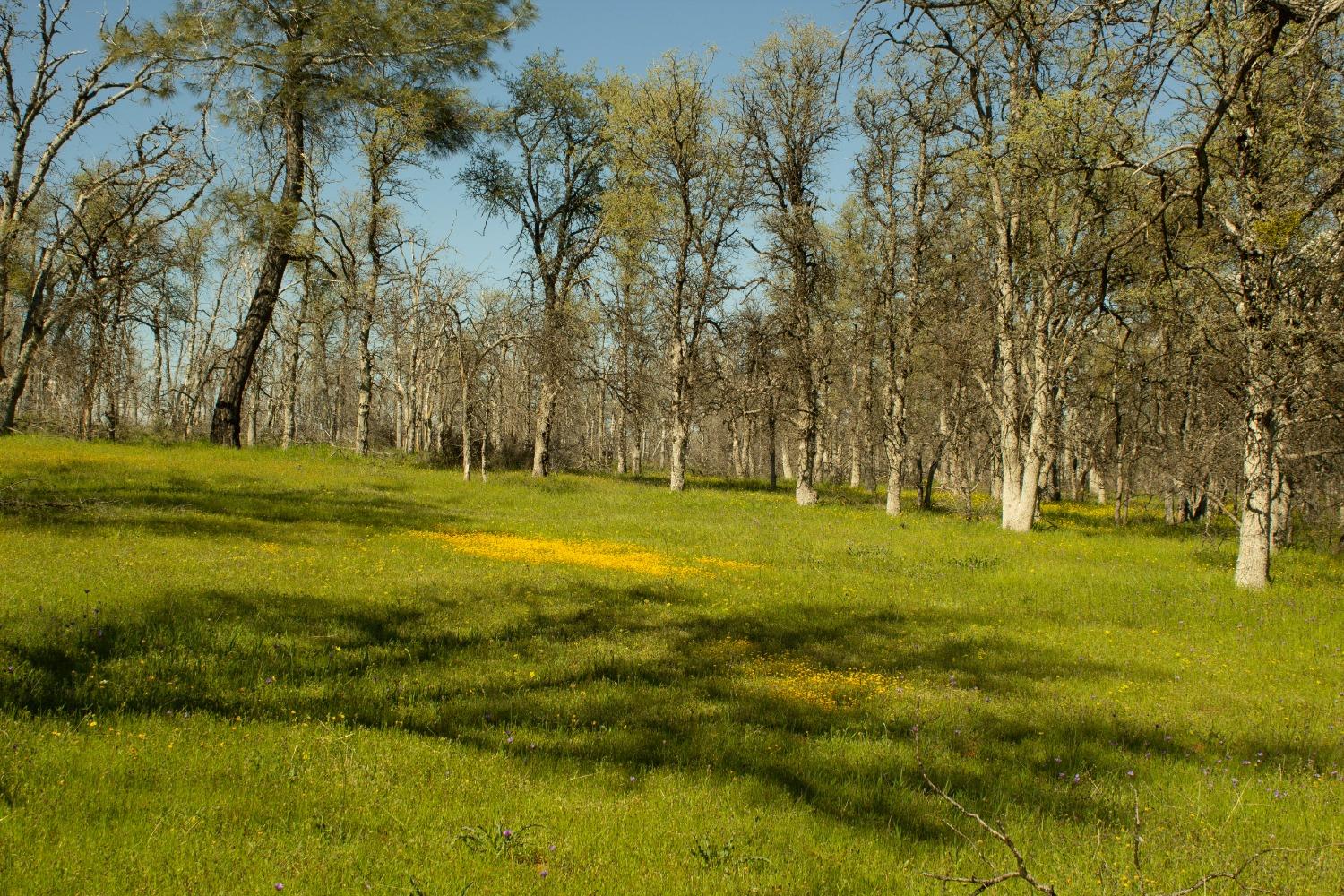 Photo 5 of 7 of 5743 Schilling Road land