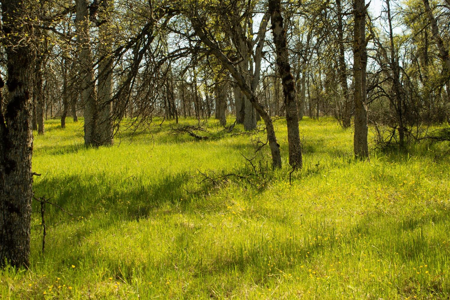 Photo 6 of 7 of 5743 Schilling Road land