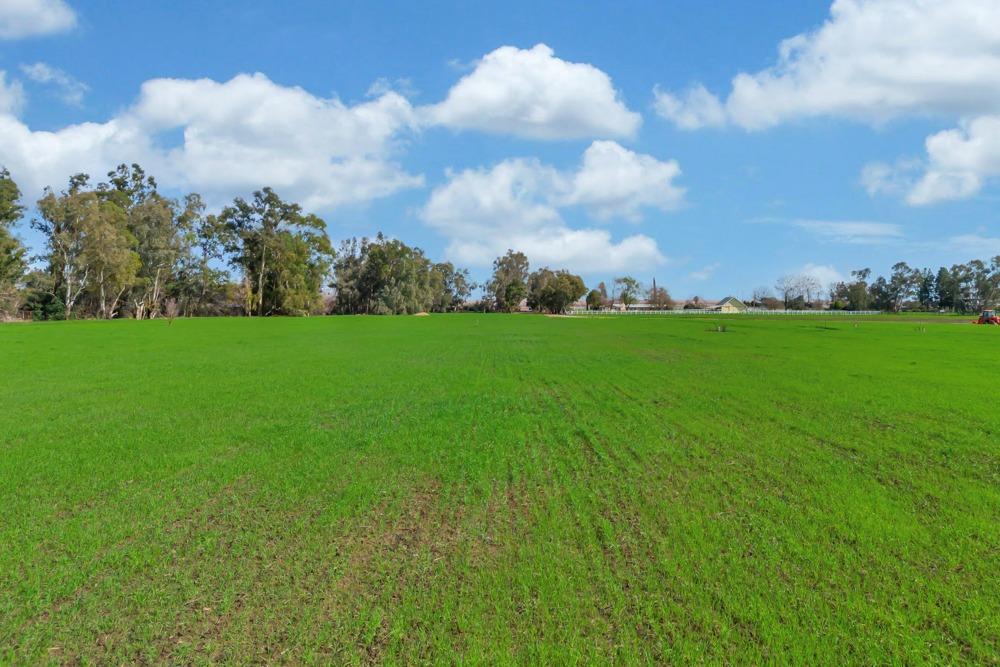 Photo 6 of 22 of 27150 Pierce Ranch Road land