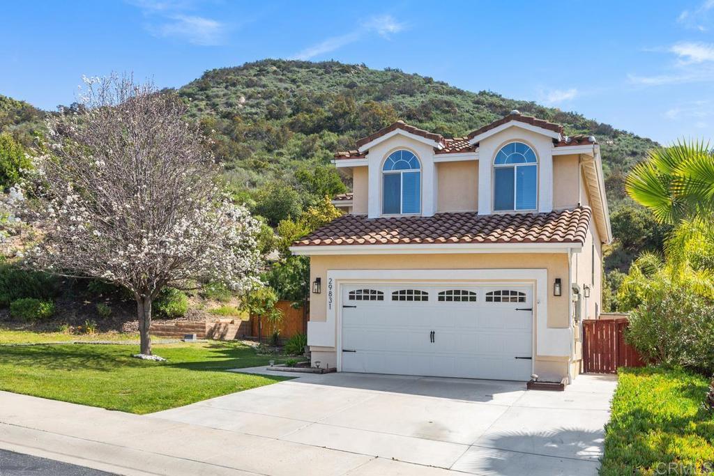 Photo 4 of 55 of 29831 Platanus Drive house