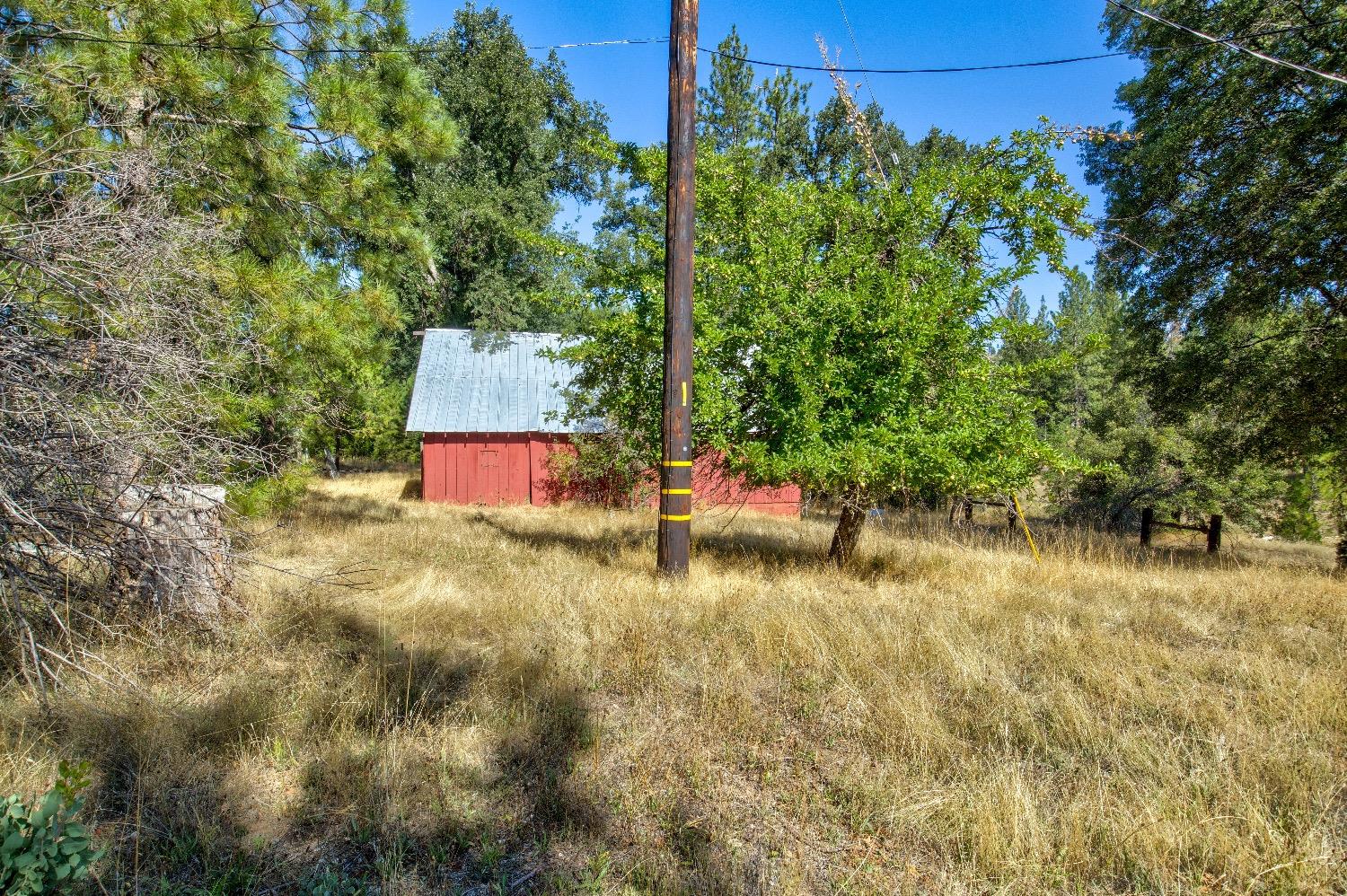 Photo 12 of 73 of 20020 Old Hwy 120 land