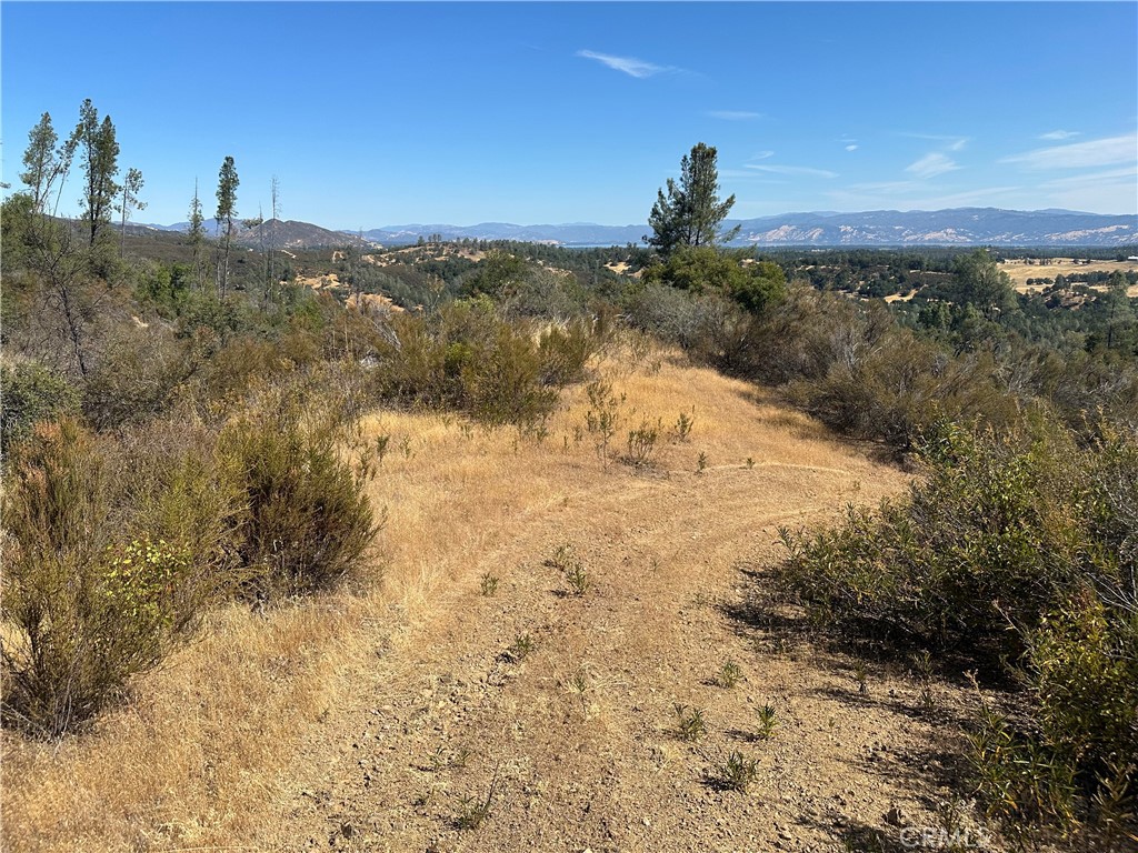 Photo 2 of 8 of 9525 Peterson Lane land