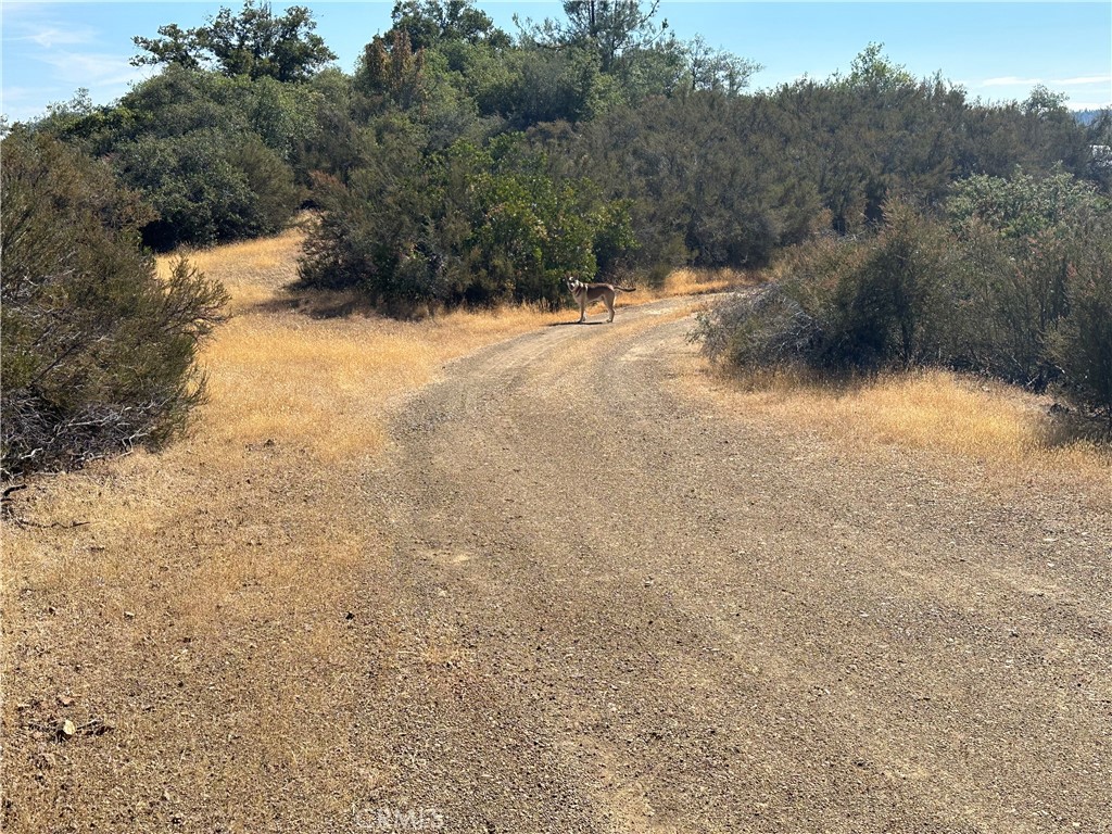 Photo 5 of 8 of 9525 Peterson Lane land