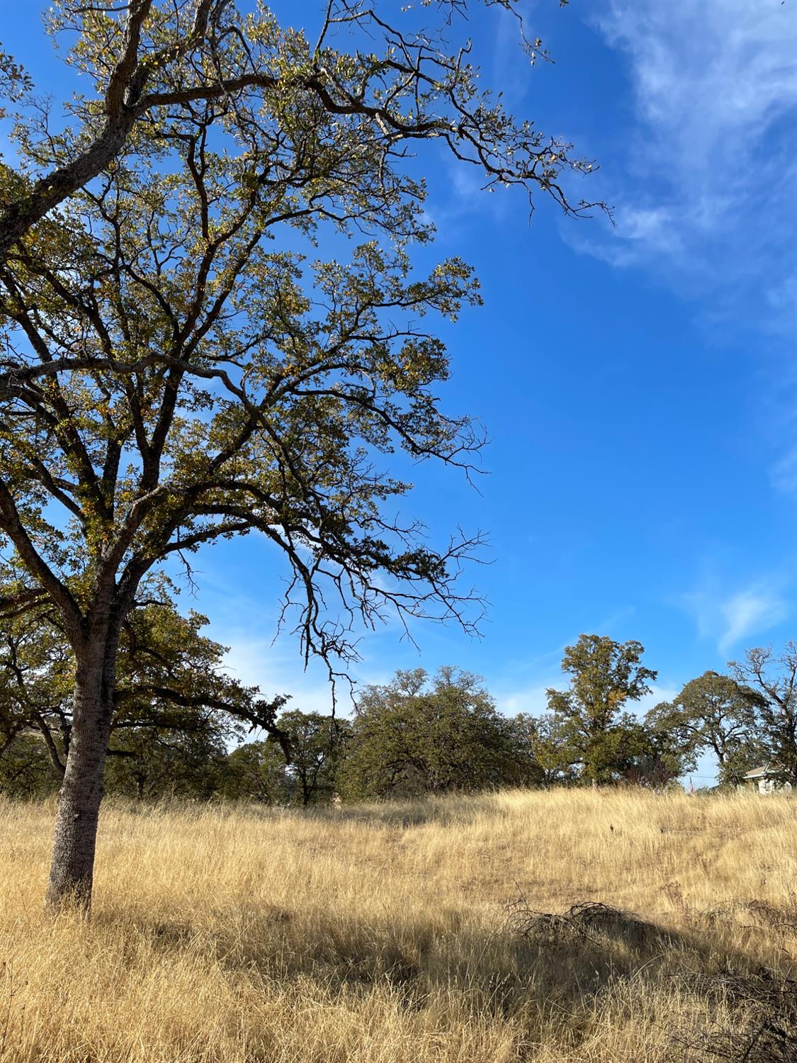 Photo 2 of 4 of 0 Buena Vista Drive land