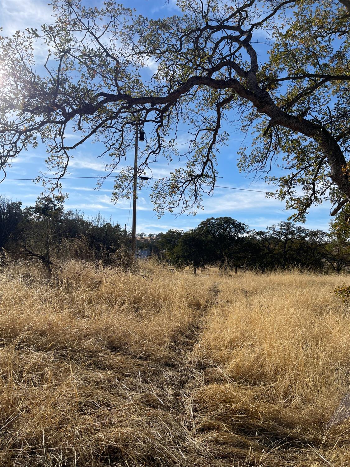 Photo 4 of 4 of 0 Buena Vista Drive land