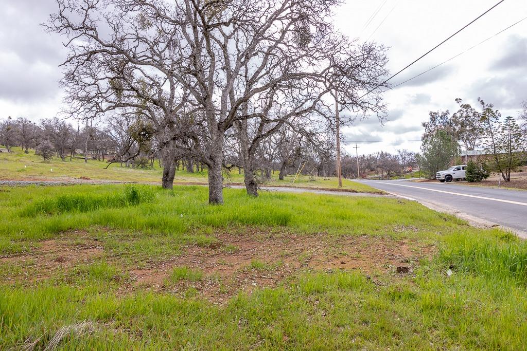 Photo 6 of 20 of 4495 Arbolada Drive land